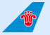 中国南方航空集团有限公司